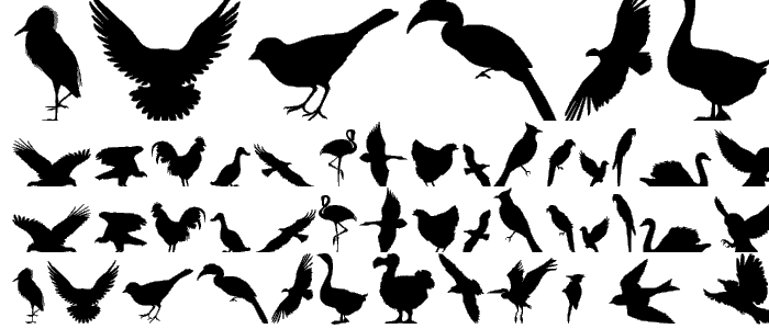 Birds of a Feather font